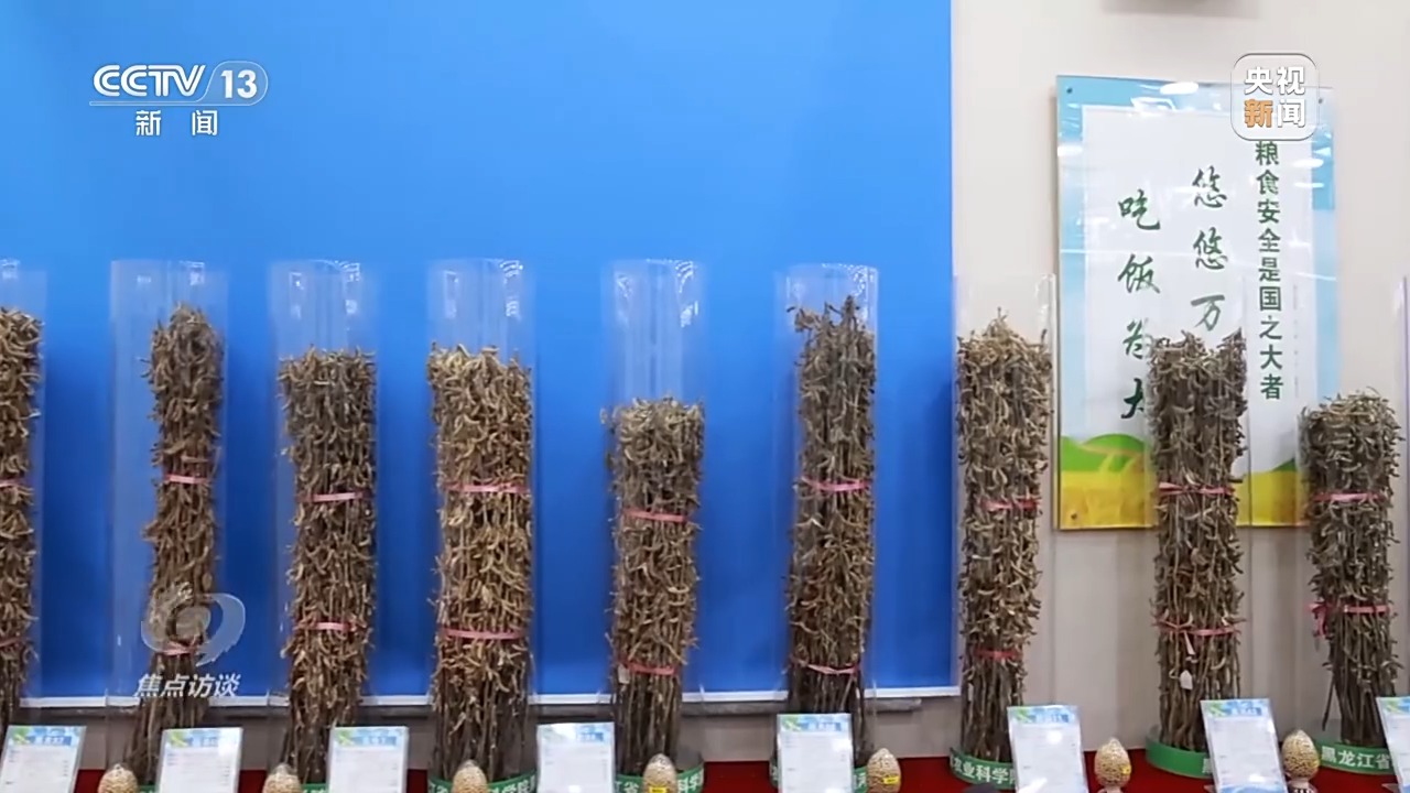
上海仁济医院黄牛代挂号电话票贩子号贩子网上预约挂号,住院检查加快,焦点访谈丨粮食产能如何再增千亿斤？中国有“粮”方