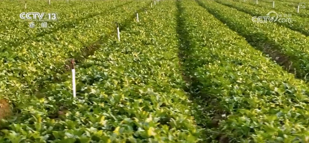 
浙江省中医院黄牛代挂号电话票贩子号贩子网上预约挂号,住院检查加快,各地秋季蔬菜进入上市高峰期 冬储“菜篮子”一元菜成主流