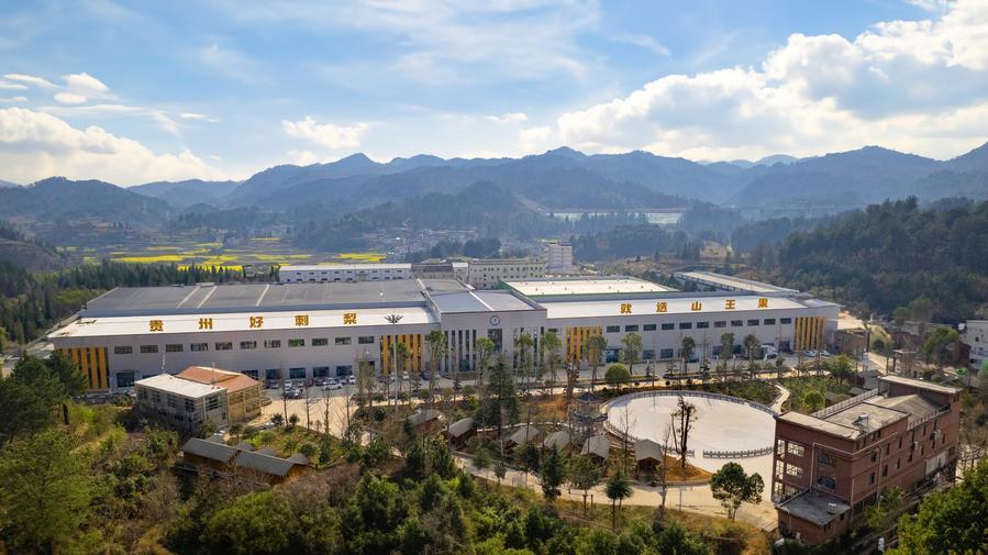 
杭州各大医院黄牛代挂号电话票贩子号贩子网上预约挂号,住院检查加快,新时代中国调研行之看区域·西部篇｜闻！水果界的“维C之王”，5G搞定