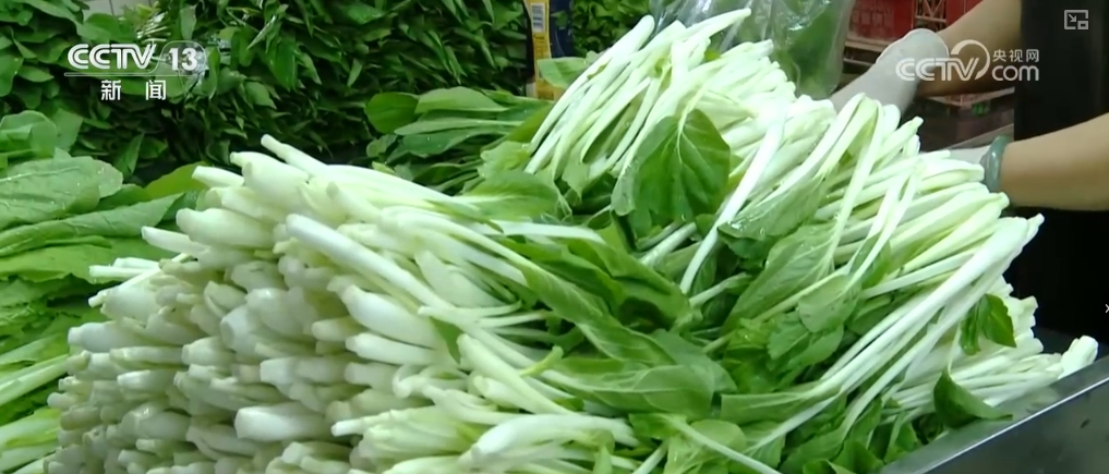 
浙江省中医院黄牛代挂号电话票贩子号贩子网上预约挂号,住院检查加快,各地秋季蔬菜进入上市高峰期 冬储“菜篮子”一元菜成主流