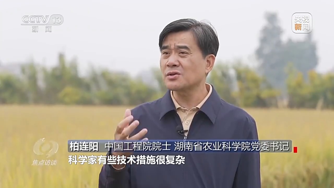 
上海仁济医院黄牛代挂号电话票贩子号贩子网上预约挂号,住院检查加快,焦点访谈丨粮食产能如何再增千亿斤？中国有“粮”方