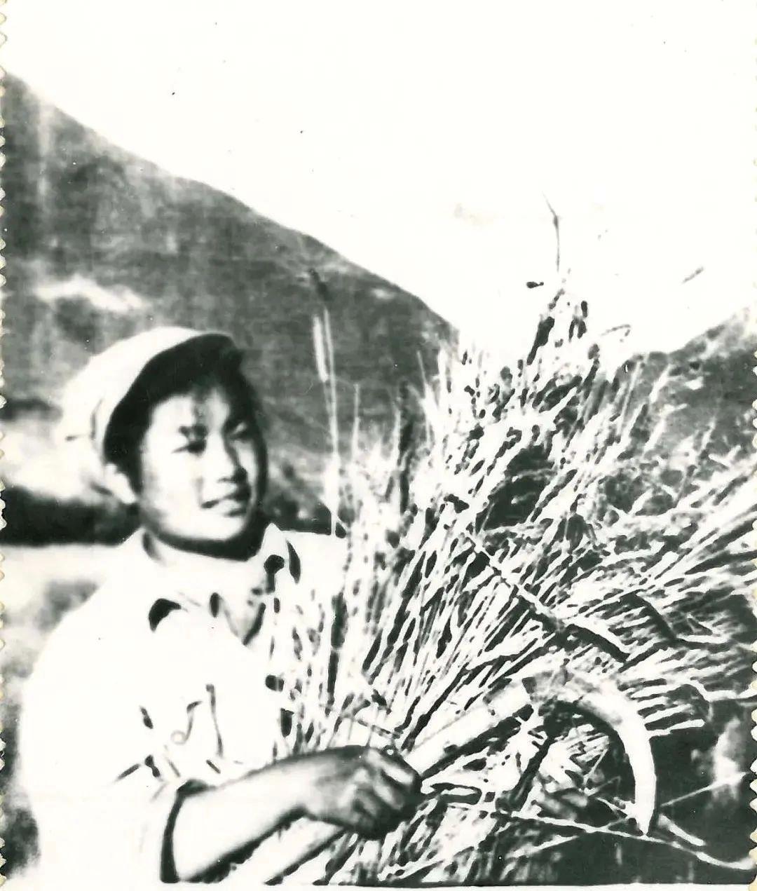 
北京301医院黄牛代挂号电话票贩子号贩子网上预约挂号,住院检查加快,95岁老战士偶遇96岁老班长 这个拥抱太催泪！