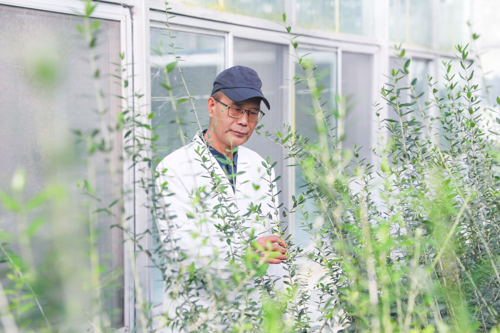 
上海肿瘤医院黄牛代挂号电话票贩子号贩子网上预约挂号,住院检查加快,新时代中国调研行之看区域·西部篇｜科技创新引领西部高质量发展
