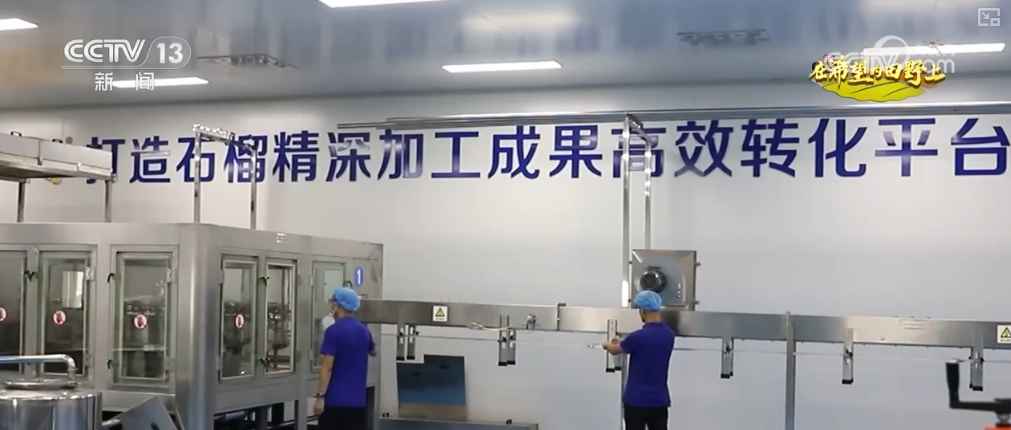 
中国医学科学院肿瘤医院黄牛代挂号电话票贩子号贩子网上预约挂号,住院检查加快,“绝技”，北斗赋农！收玉米、割水稻……又是一个丰收季