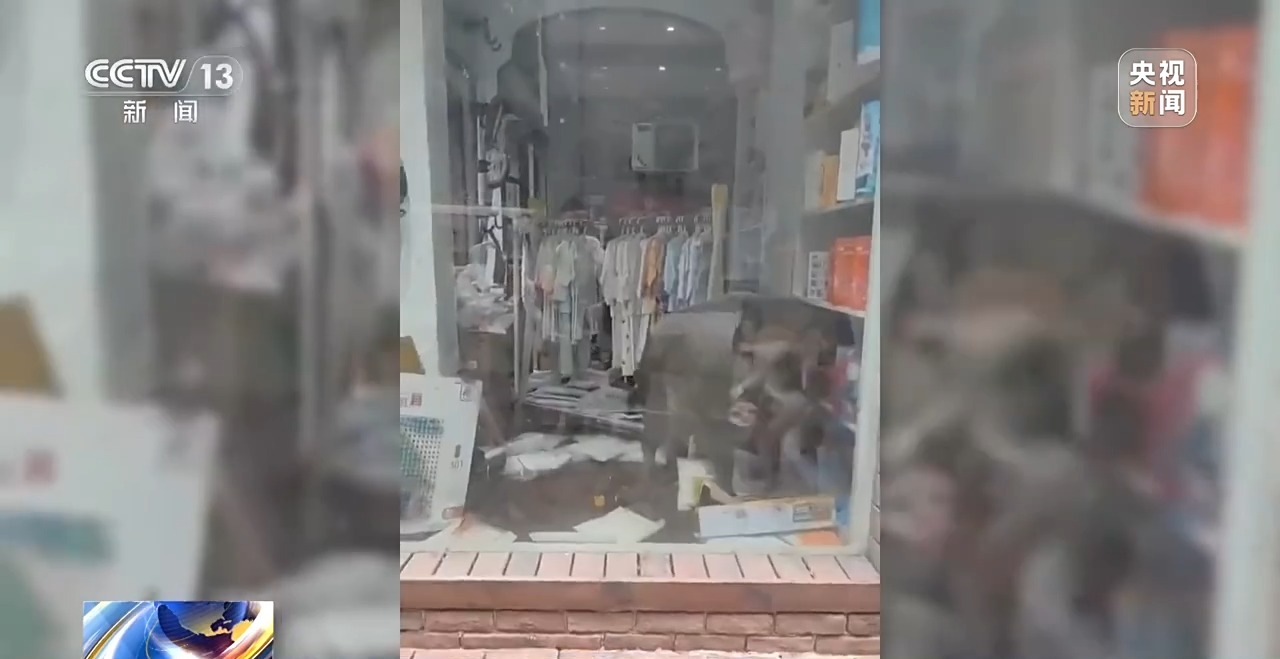 
首都医科大学附属儿童医院黄牛代挂号电话票贩子号贩子网上预约挂号,住院检查加快,新闻1+1丨26个省份存在野猪致害 科学防控有哪些方法思路