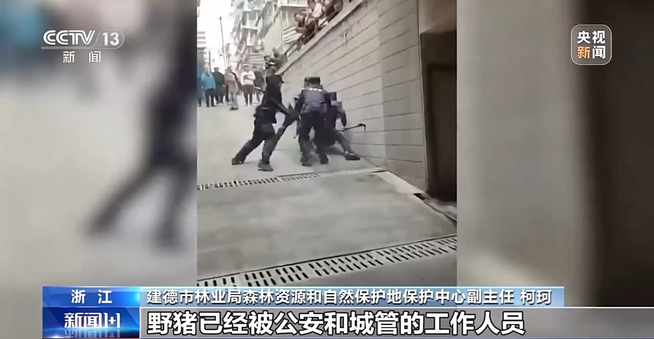 
首都医科大学附属儿童医院黄牛代挂号电话票贩子号贩子网上预约挂号,住院检查加快,新闻1+1丨26个省份存在野猪致害 科学防控有哪些方法思路