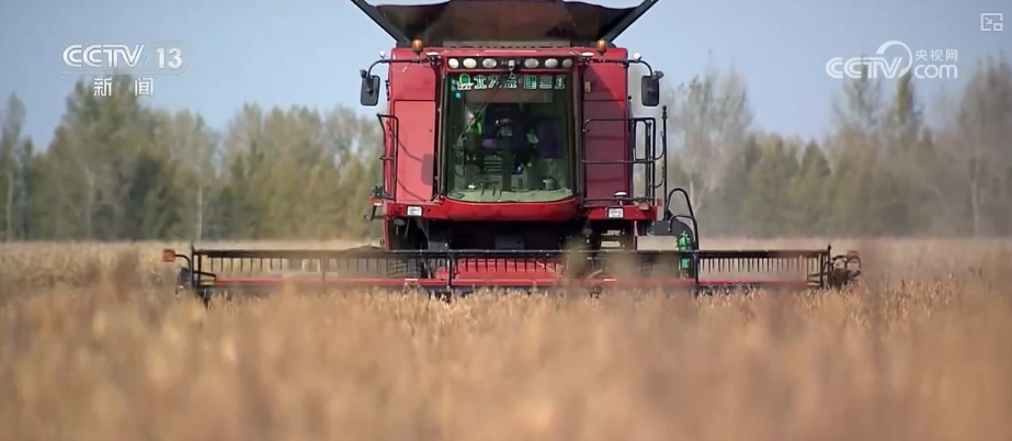 
北京广安门中医院黄牛代挂号电话票贩子号贩子网上预约挂号,住院检查加快,追梦七十五载 中国人饭碗装满丰盛的中国味道