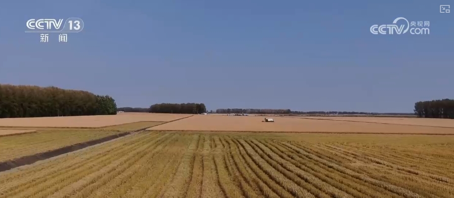 
北京广安门中医院黄牛代挂号电话票贩子号贩子网上预约挂号,住院检查加快,追梦七十五载 中国人饭碗装满丰盛的中国味道