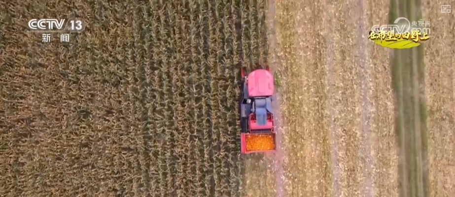 
北京空军总医院黄牛代挂号电话票贩子号贩子网上预约挂号,住院检查加快,果香四溢、禾谷满仓 希望的田野上绘就丰收画卷