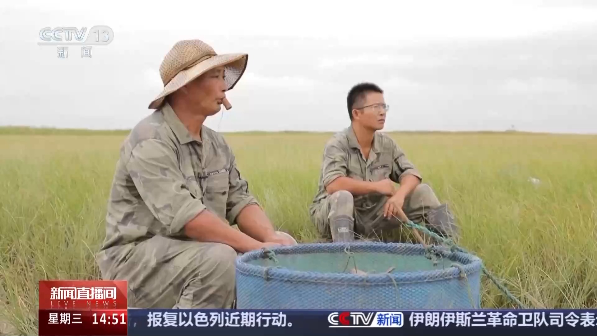 
首都医科大学附属天坛医院黄牛代挂号电话票贩子号贩子网上预约挂号,住院检查加快,文化中国行丨捕鸟人→护鸟人 他用非遗鸟哨守护东滩