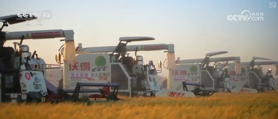 
北京广安门中医院黄牛代挂号电话票贩子号贩子网上预约挂号,住院检查加快,追梦七十五载 中国人饭碗装满丰盛的中国味道