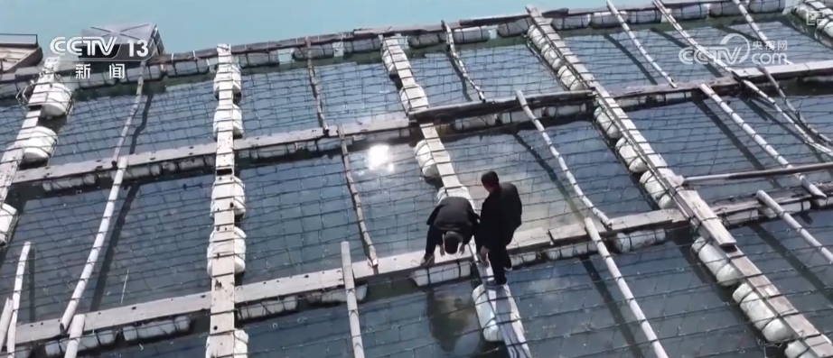 
北京广安门中医院黄牛代挂号电话票贩子号贩子网上预约挂号,住院检查加快,追梦七十五载 中国人饭碗装满丰盛的中国味道