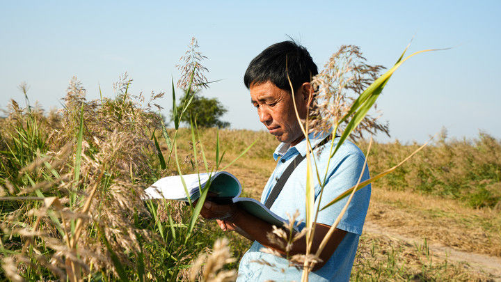 
北京协和医院黄牛代挂号电话票贩子号贩子网上预约挂号,住院检查加快,文化中国行丨河北沧州南大港湿地的候鸟守护者