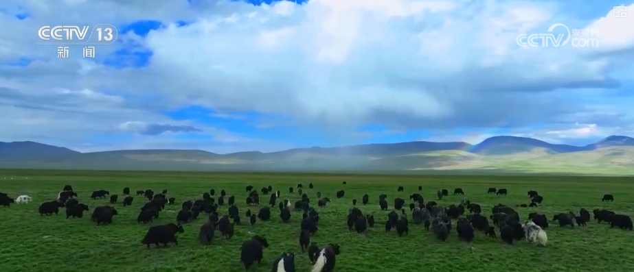 
北京广安门中医院黄牛代挂号电话票贩子号贩子网上预约挂号,住院检查加快,追梦七十五载 中国人饭碗装满丰盛的中国味道