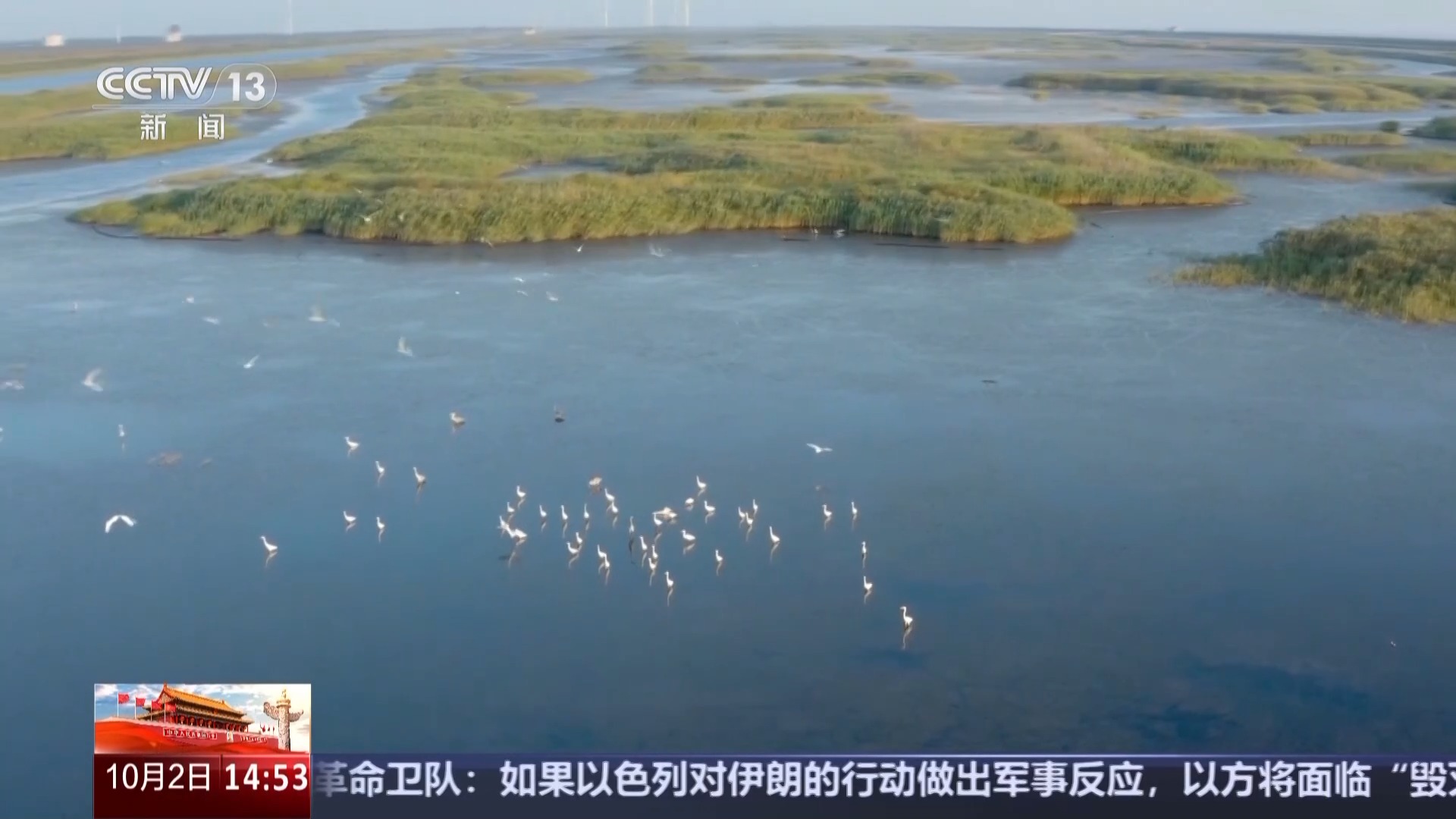 
首都医科大学附属天坛医院黄牛代挂号电话票贩子号贩子网上预约挂号,住院检查加快,文化中国行丨捕鸟人→护鸟人 他用非遗鸟哨守护东滩