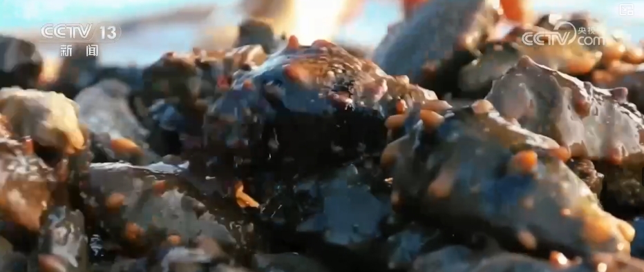 
北京广安门中医院黄牛代挂号电话票贩子号贩子网上预约挂号,住院检查加快,追梦七十五载 中国人饭碗装满丰盛的中国味道