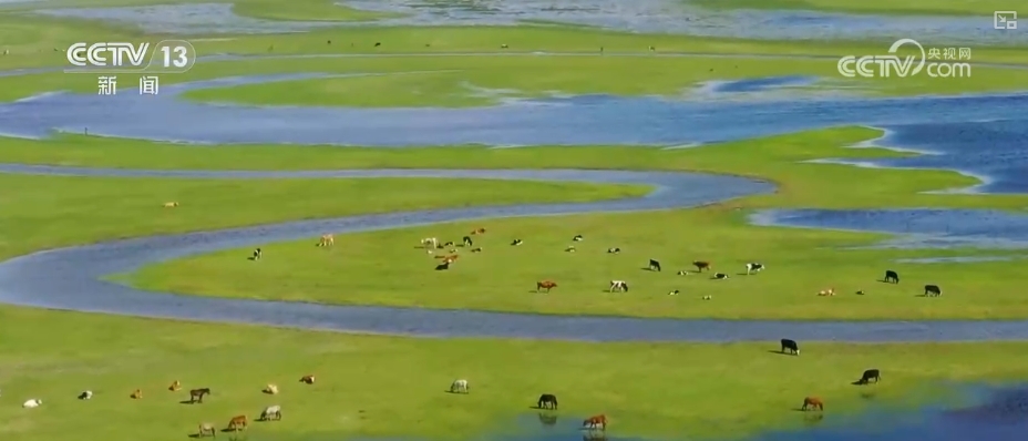 
上海眼耳鼻喉科医院黄牛代挂号电话票贩子号贩子网上预约挂号,住院检查加快,30亿千瓦、460万公里、102.44万户……多维度“数”读发展成效