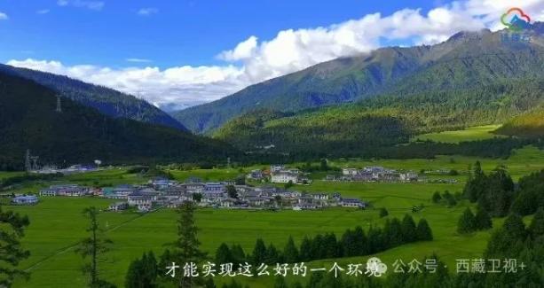 
上海各大医院黄牛代挂号电话票贩子号贩子网上预约挂号,住院检查加快,国外“零零后”“95后”来西藏玩了一圈，他们说……
