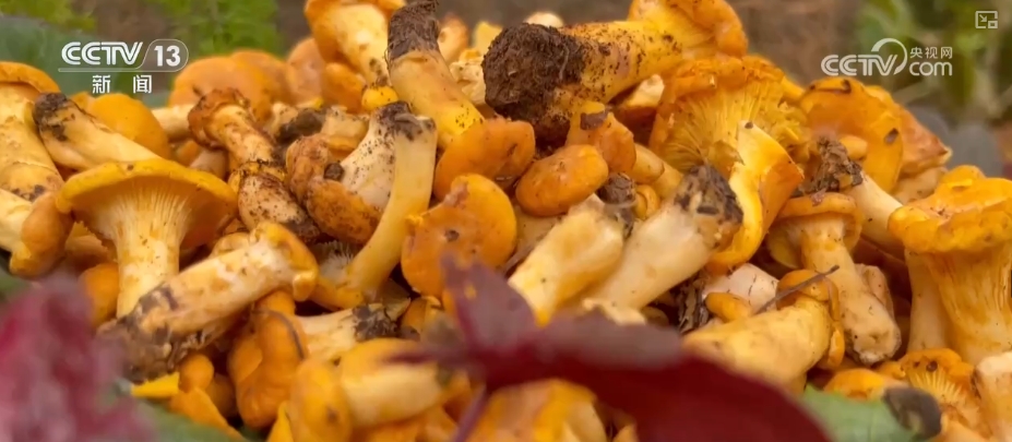 
北京广安门中医院黄牛代挂号电话票贩子号贩子网上预约挂号,住院检查加快,追梦七十五载 中国人饭碗装满丰盛的中国味道