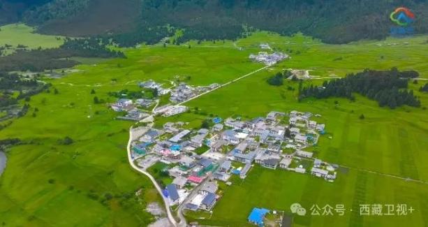 
上海各大医院黄牛代挂号电话票贩子号贩子网上预约挂号,住院检查加快,国外“零零后”“95后”来西藏玩了一圈，他们说……