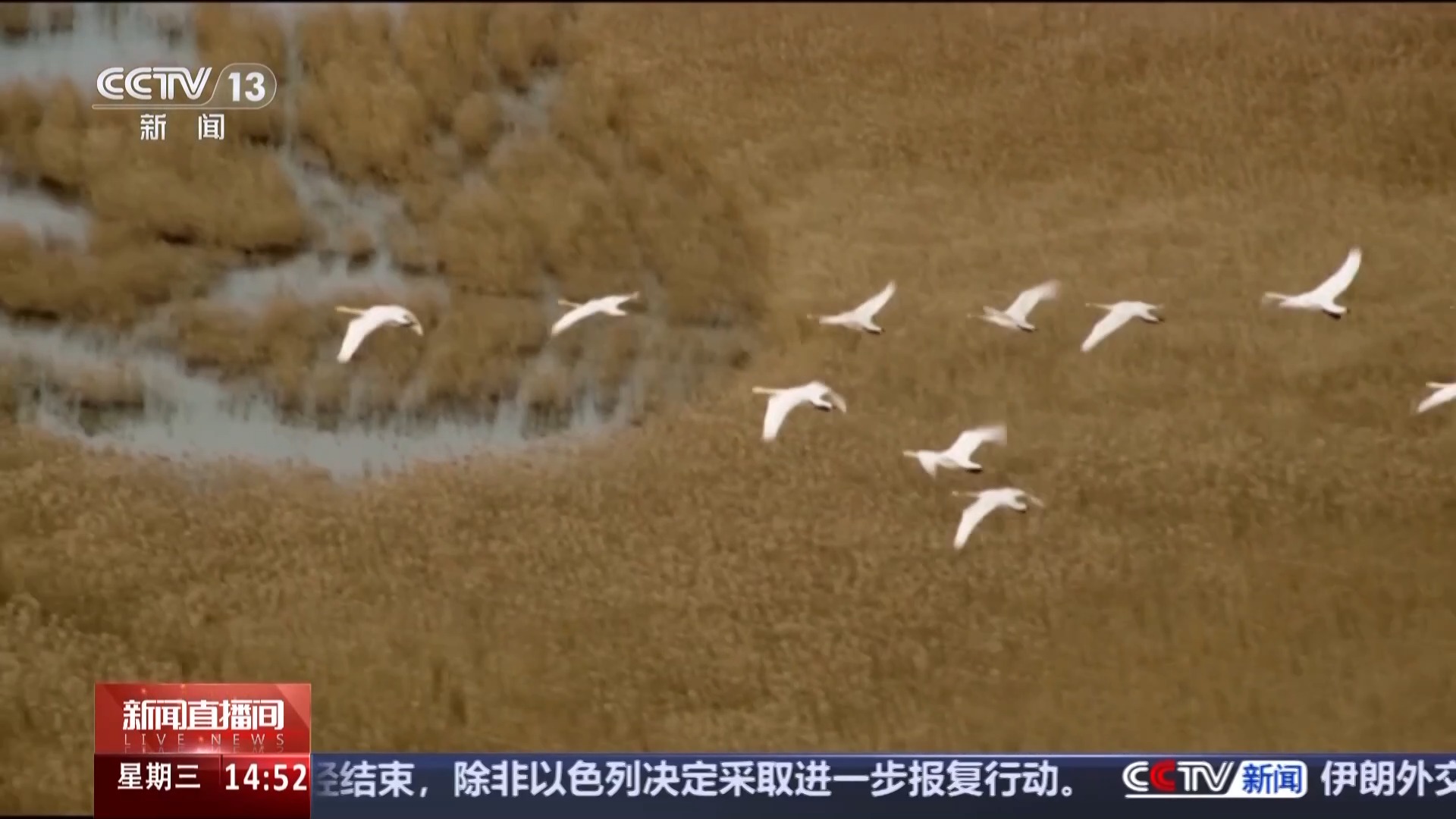 
首都医科大学附属天坛医院黄牛代挂号电话票贩子号贩子网上预约挂号,住院检查加快,文化中国行丨捕鸟人→护鸟人 他用非遗鸟哨守护东滩