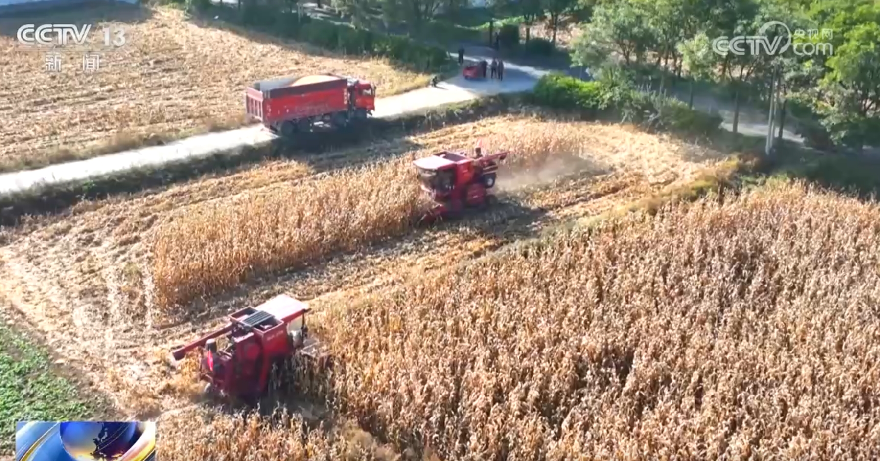 
南京脑科医院黄牛代挂号电话票贩子号贩子网上预约挂号,住院检查加快,良种、良法、良机护航 在田野好“丰”光里看农业发展“未来式”