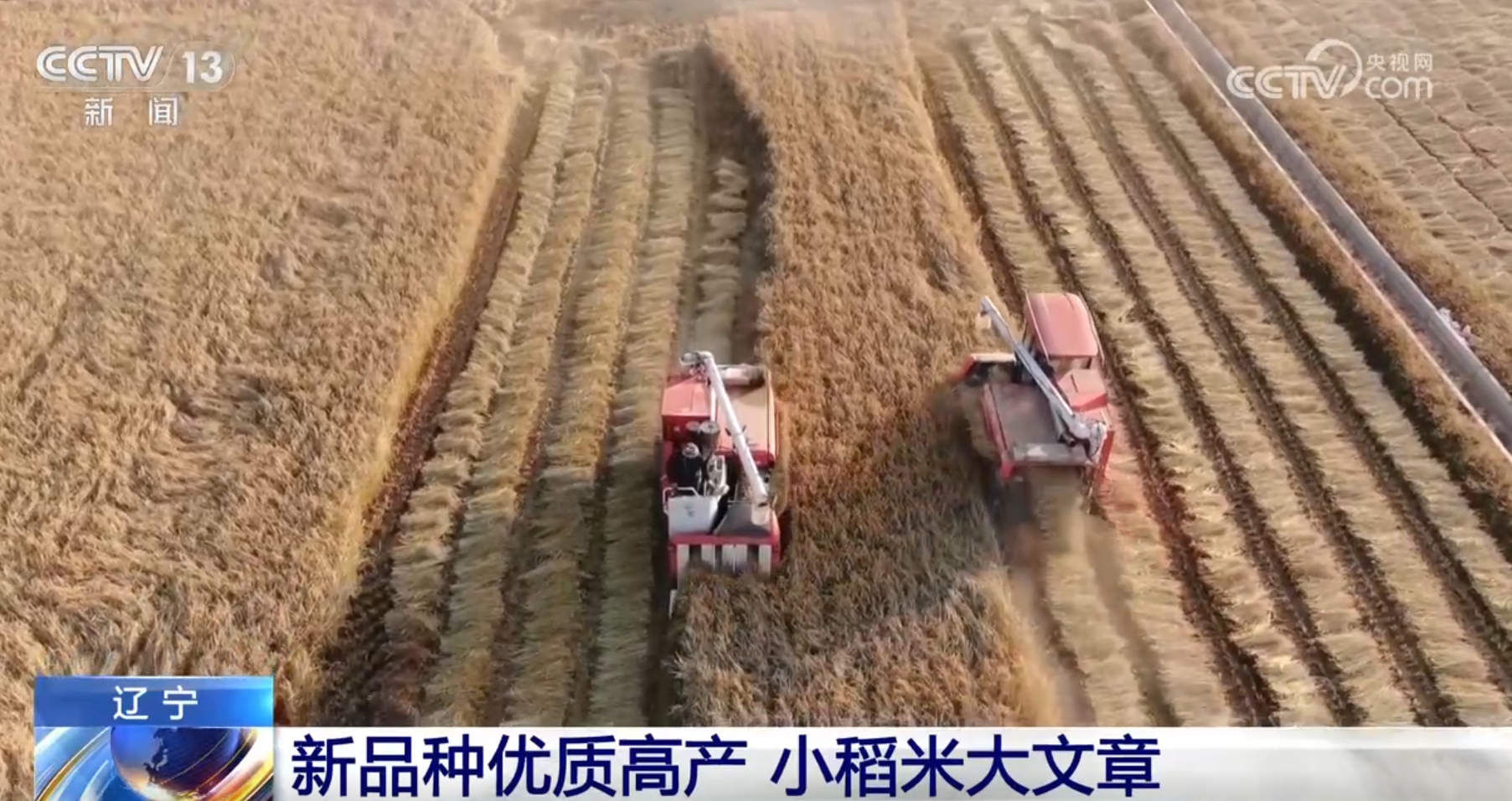 
南京脑科医院黄牛代挂号电话票贩子号贩子网上预约挂号,住院检查加快,良种、良法、良机护航 在田野好“丰”光里看农业发展“未来式”