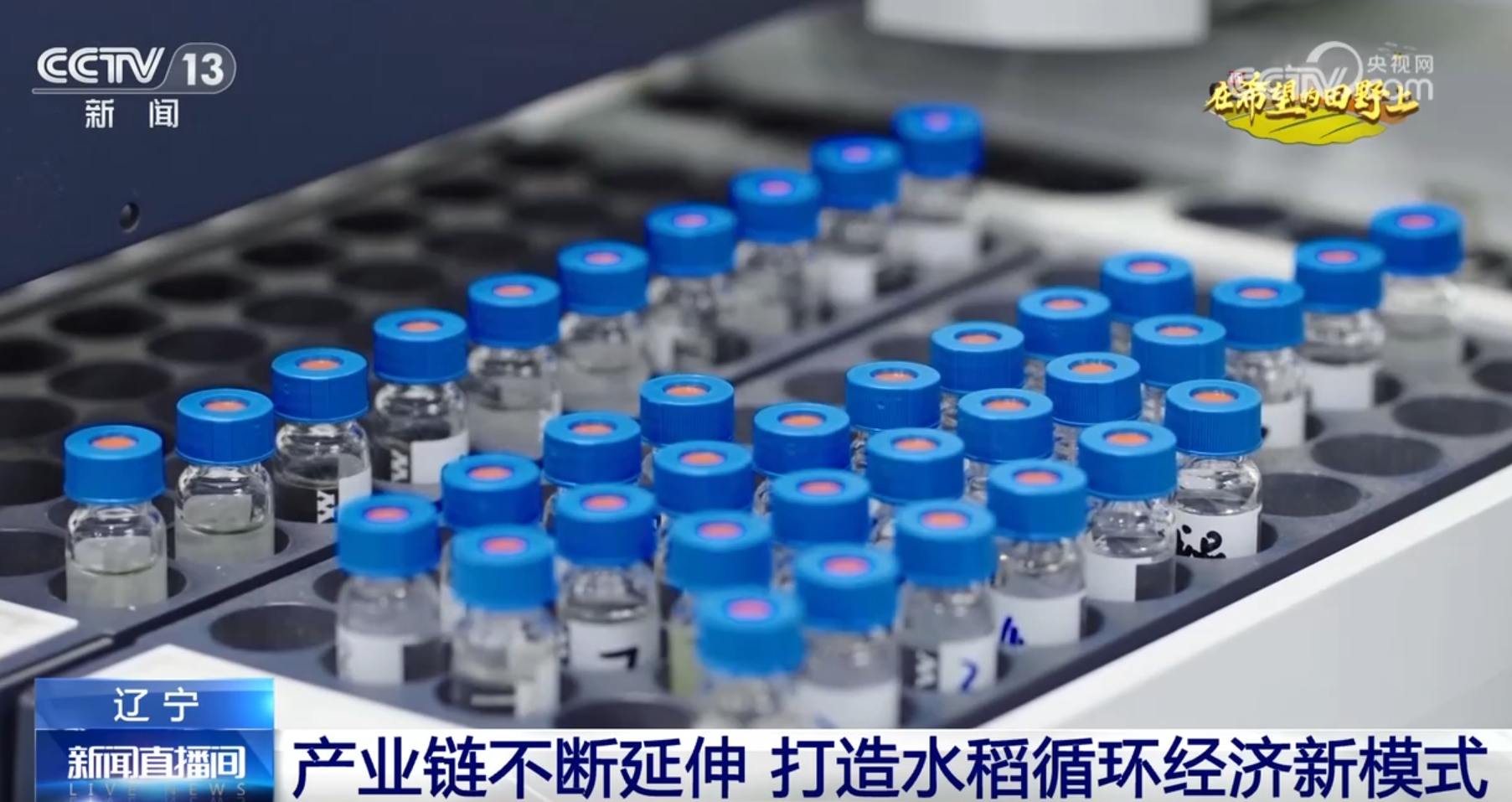 
南京脑科医院黄牛代挂号电话票贩子号贩子网上预约挂号,住院检查加快,良种、良法、良机护航 在田野好“丰”光里看农业发展“未来式”