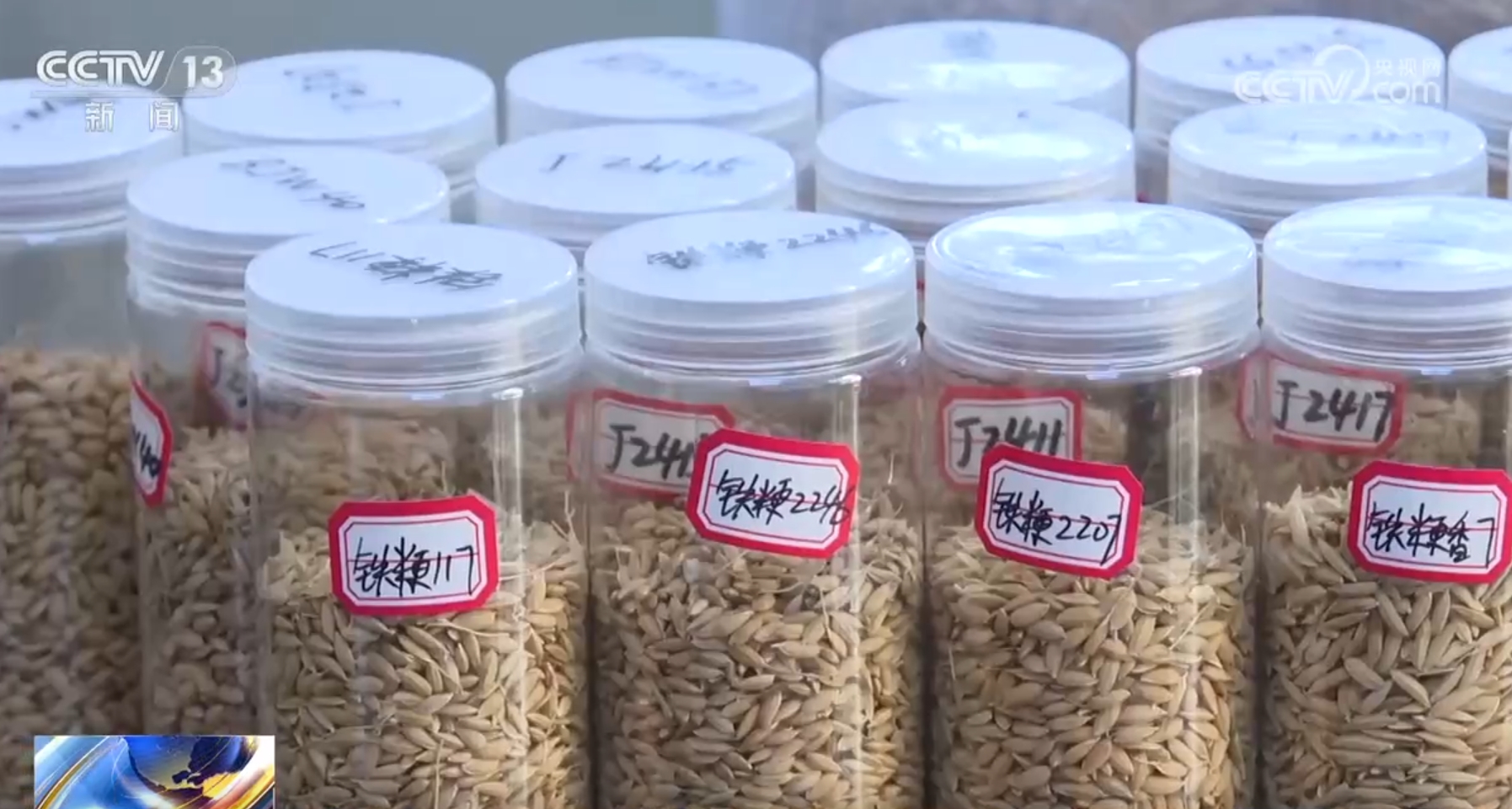 
南京脑科医院黄牛代挂号电话票贩子号贩子网上预约挂号,住院检查加快,良种、良法、良机护航 在田野好“丰”光里看农业发展“未来式”