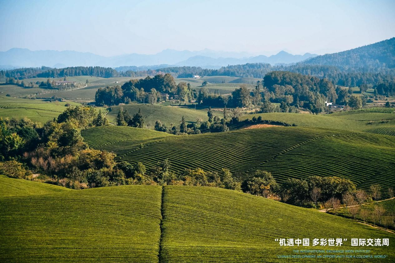 
空军特色医学中心黄牛代挂号电话票贩子号贩子网上预约挂号,住院检查加快,15国使节专家青年探访多彩贵州，感受机遇中国