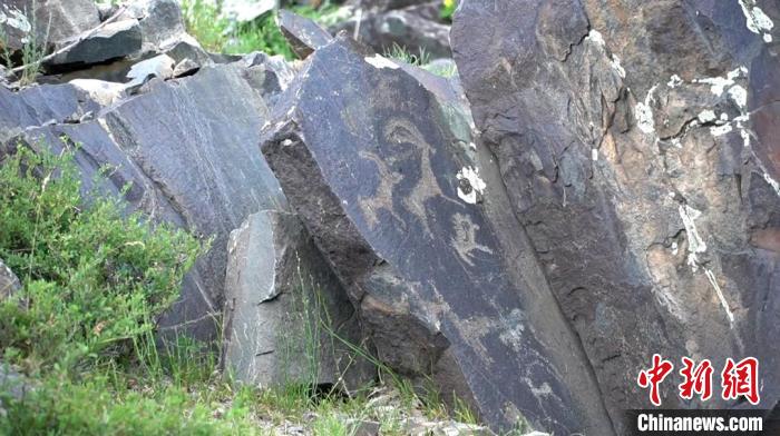 
西安各大医院黄牛代挂号电话票贩子号贩子网上预约挂号,住院检查加快,新疆阿勒泰岩画：千里画廊中的历史印记