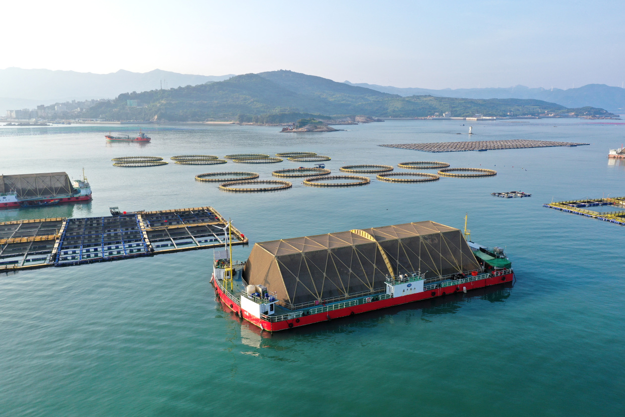 
杭州西溪医院黄牛代挂号电话票贩子号贩子网上预约挂号,住院检查加快,清澈的爱 只为中国｜老百姓的食物需求更加多样化了