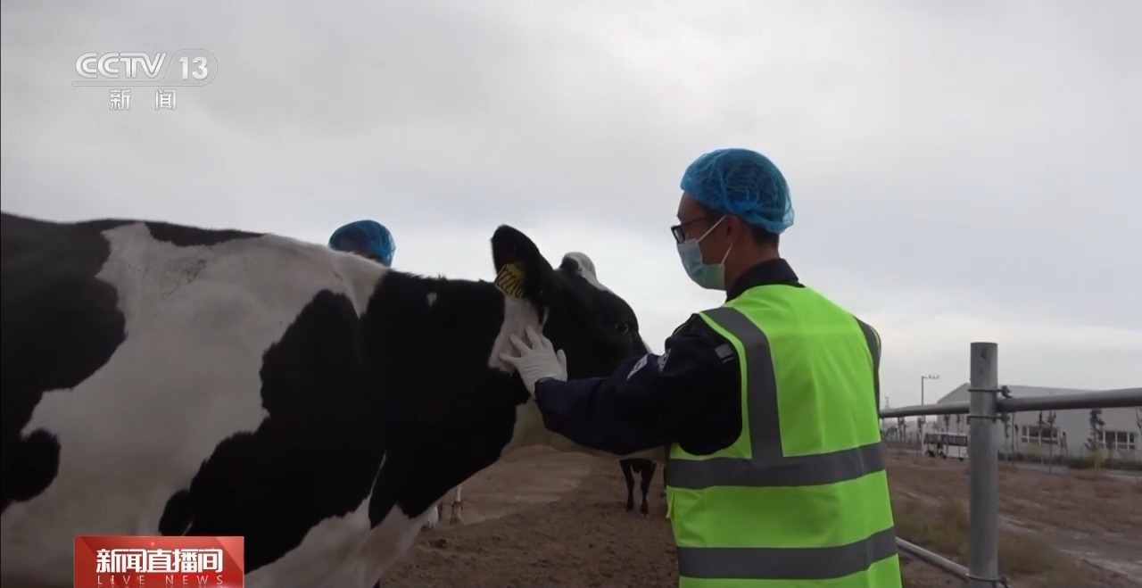 
江苏省第二中医院黄牛代挂号电话票贩子号贩子网上预约挂号,住院检查加快,“好奶牛”如何产出好牛奶？一起探秘兵团牧场