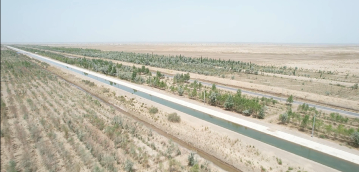 南方医科大学南方医院黄牛代挂号电话票贩子号贩子网上预约挂号,住院检查加快,铸牢共同体 中华一家亲|“天山南北唱新歌”为沙漠穿上“翠绿轻纱”