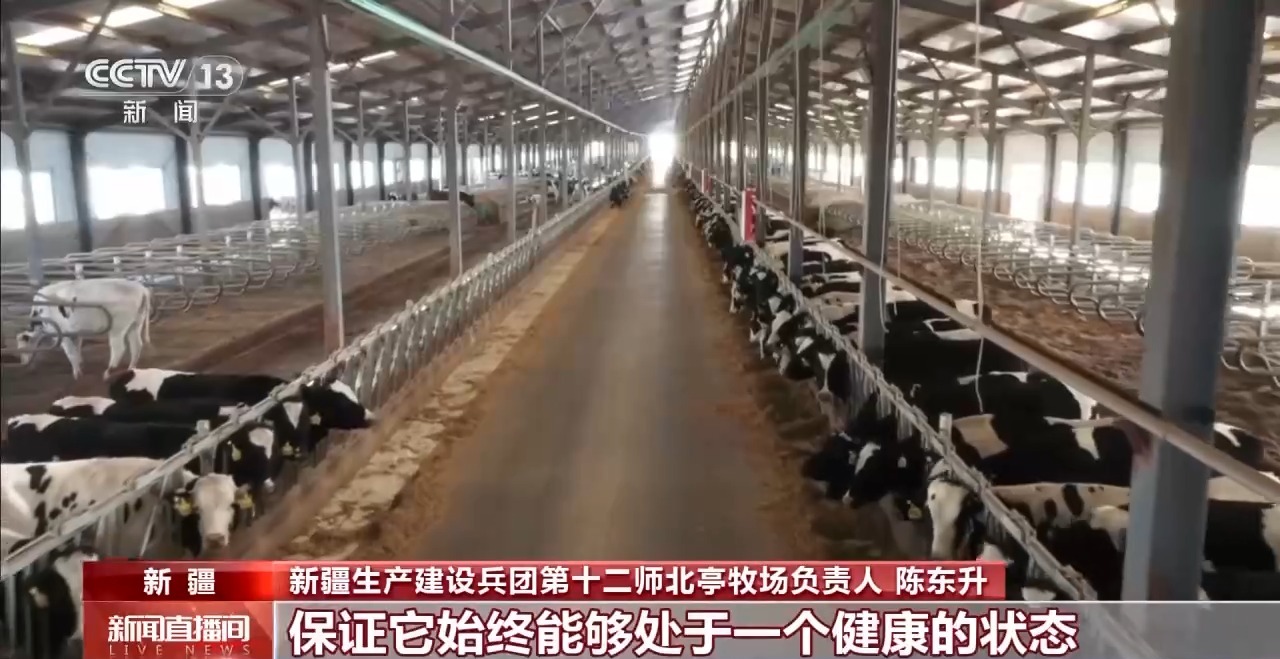 
江苏省第二中医院黄牛代挂号电话票贩子号贩子网上预约挂号,住院检查加快,“好奶牛”如何产出好牛奶？一起探秘兵团牧场