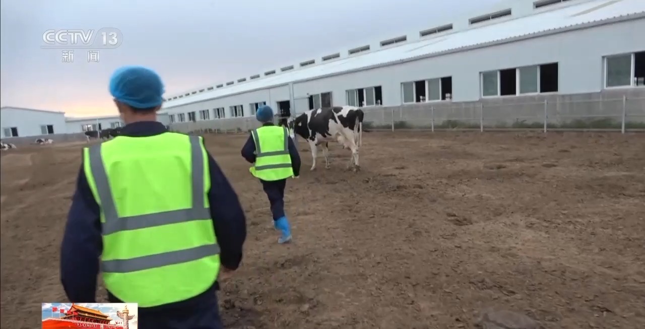 
江苏省第二中医院黄牛代挂号电话票贩子号贩子网上预约挂号,住院检查加快,“好奶牛”如何产出好牛奶？一起探秘兵团牧场