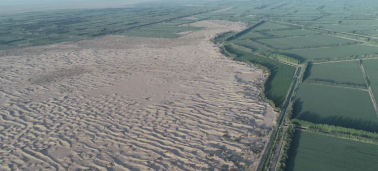南方医科大学南方医院黄牛代挂号电话票贩子号贩子网上预约挂号,住院检查加快,铸牢共同体 中华一家亲|“天山南北唱新歌”为沙漠穿上“翠绿轻纱”