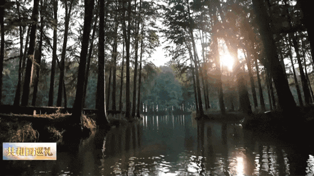 
天津肿瘤医院黄牛代挂号电话票贩子号贩子网上预约挂号,住院检查加快,文化中国行·我写家乡 | 我的回乡愿望清单