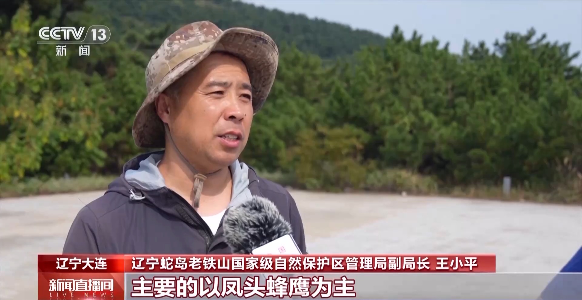 
南京军区总医院黄牛代挂号电话票贩子号贩子网上预约挂号,住院检查加快,文化中国行丨蛇岛老铁山观测猛禽越海 爱鸟护鸟入人心