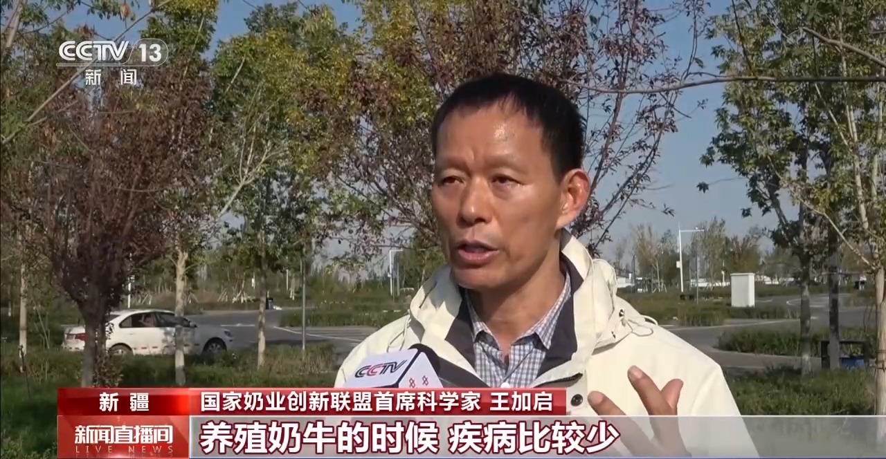 
江苏省第二中医院黄牛代挂号电话票贩子号贩子网上预约挂号,住院检查加快,“好奶牛”如何产出好牛奶？一起探秘兵团牧场