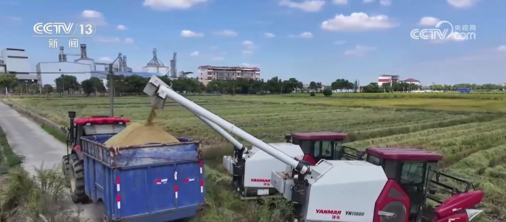 
天津血液研究所黄牛代挂号电话票贩子号贩子网上预约挂号,住院检查加快,“三秋”生产进展顺利 “新技术+新品种”助力乡村好“丰”景