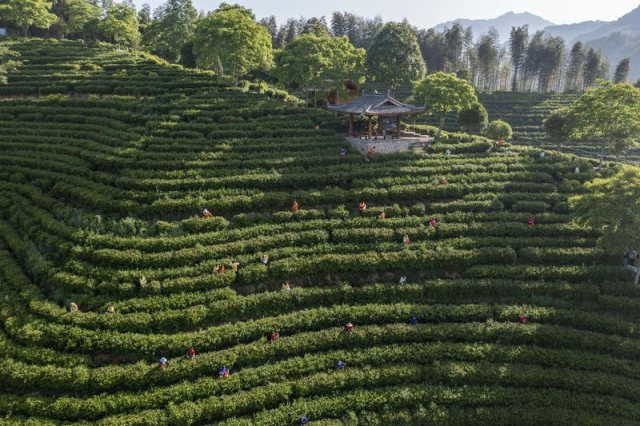 
广州中山眼科医院黄牛代挂号电话票贩子号贩子网上预约挂号,住院检查加快,中国式现代化，各族人民的共同目标