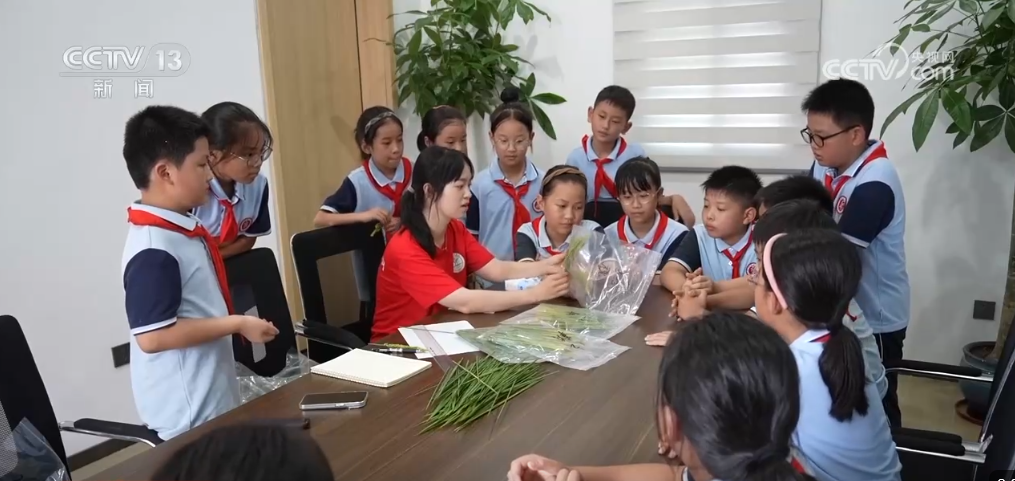 
天津血液研究所黄牛代挂号电话票贩子号贩子网上预约挂号,住院检查加快,“三秋”生产进展顺利 “新技术+新品种”助力乡村好“丰”景