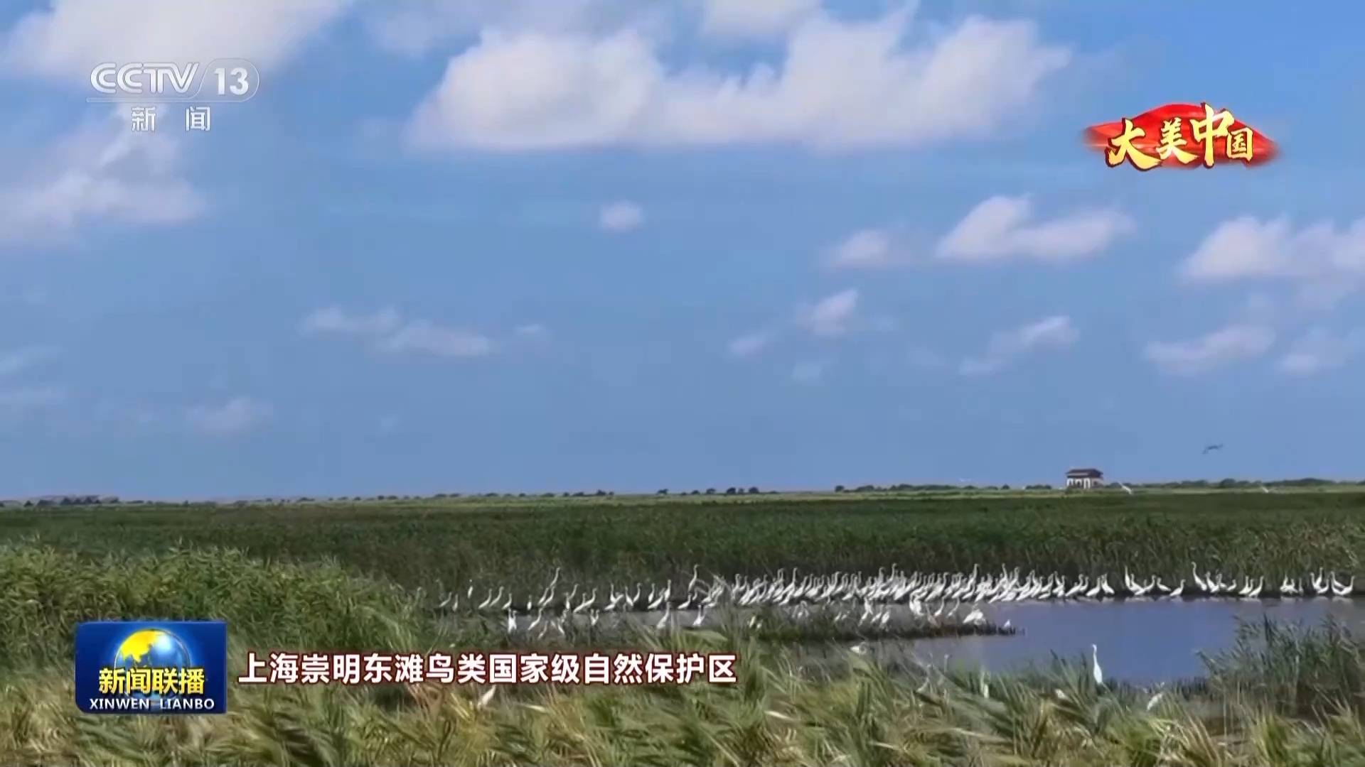 
广州儿童医院黄牛代挂号电话票贩子号贩子网上预约挂号,住院检查加快,文化中国行丨人与自然和谐共生 大美中国水清岸绿景如画