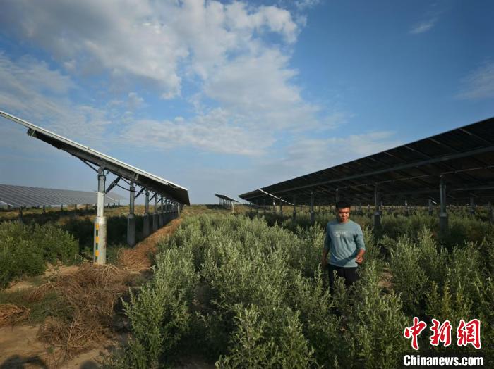 
北京佑安医院黄牛代挂号电话票贩子号贩子网上预约挂号,住院检查加快,（铸牢共同体 中华一家亲）中国人“种菜天赋”有多强？戈壁荒漠变“智慧农场”