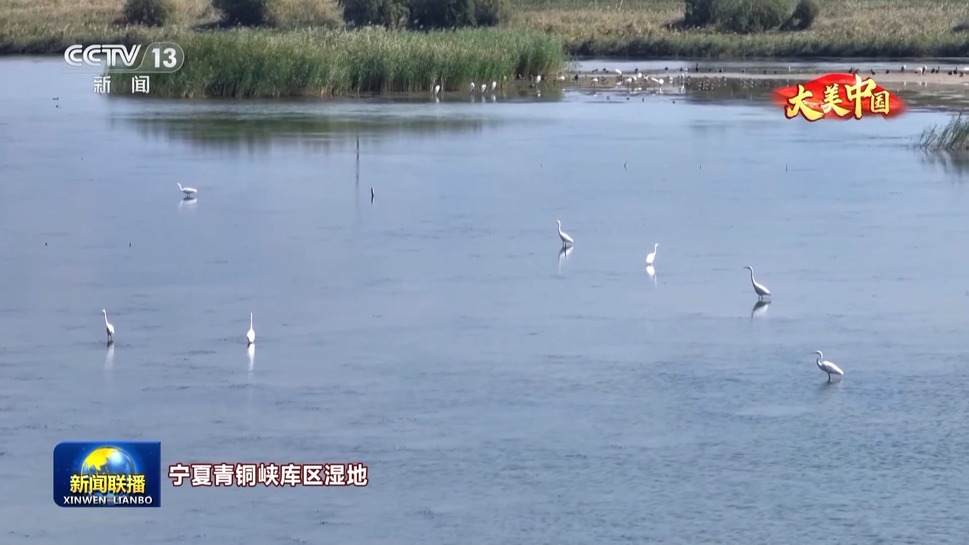 
广州儿童医院黄牛代挂号电话票贩子号贩子网上预约挂号,住院检查加快,文化中国行丨人与自然和谐共生 大美中国水清岸绿景如画