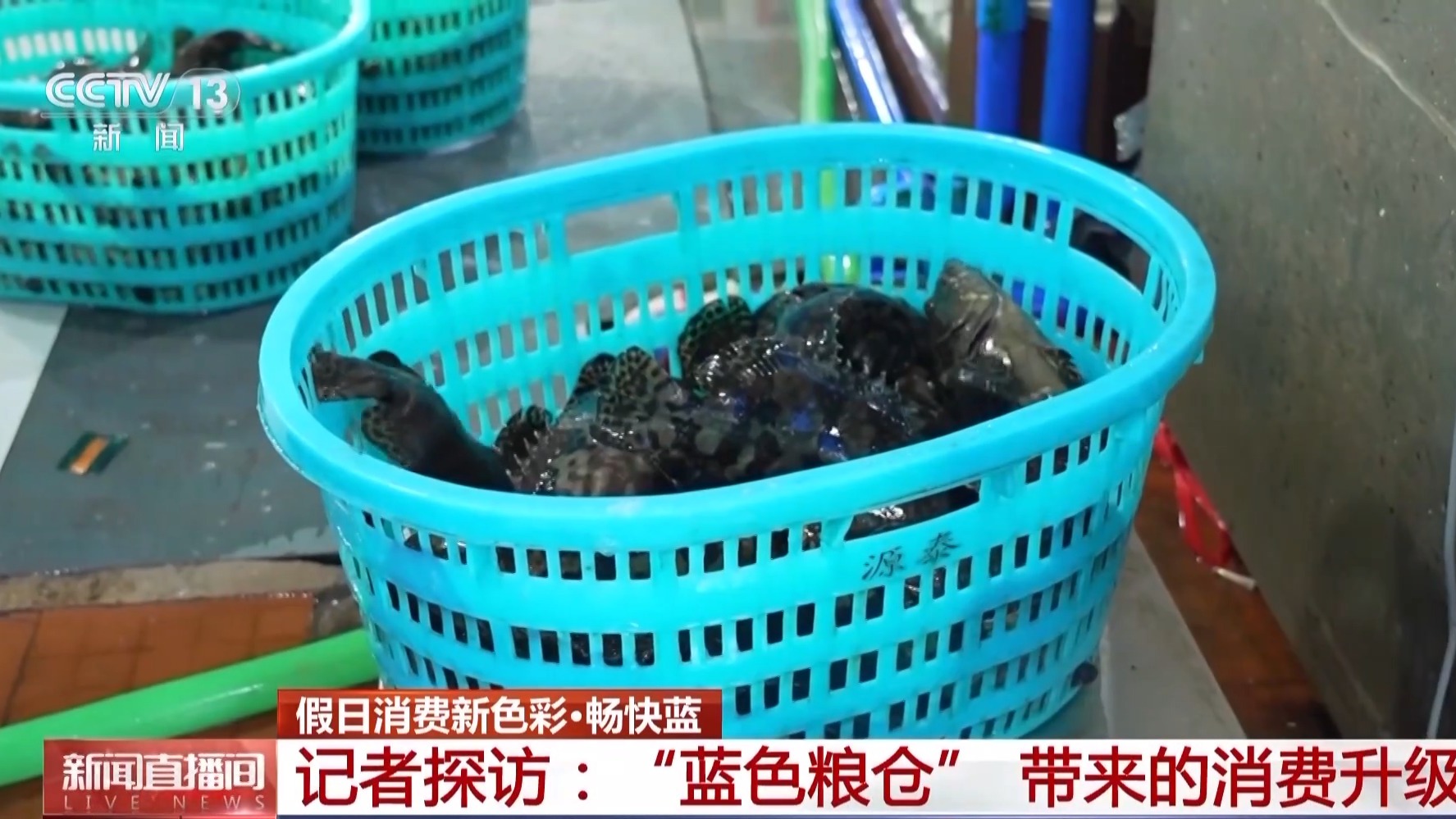 
北京佑安医院黄牛代挂号电话票贩子号贩子网上预约挂号,住院检查加快,海天一色，蓝色粮仓！假期去大海，体验“蓝”色消费新场景