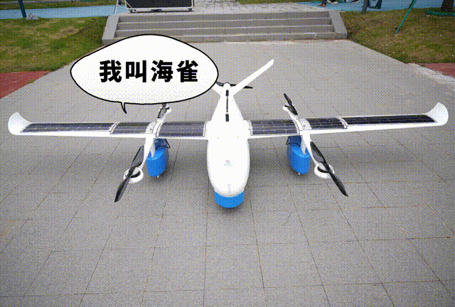 
首都医科大学附属北京同仁医院黄牛代挂号电话票贩子号贩子网上预约挂号,住院检查加快,【你好，小镇】浙江油车港：科创绘新颜