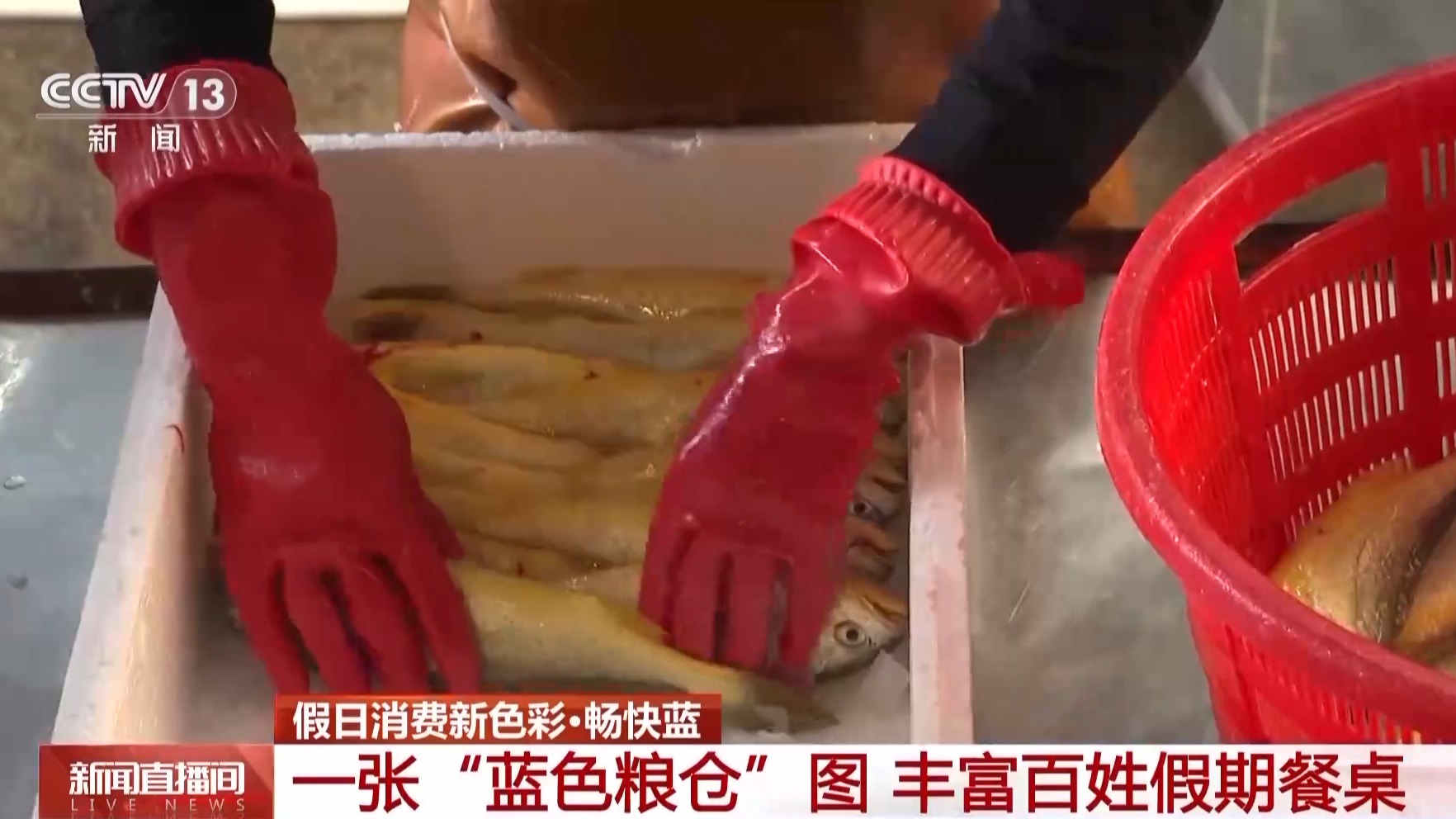 
北京佑安医院黄牛代挂号电话票贩子号贩子网上预约挂号,住院检查加快,海天一色，蓝色粮仓！假期去大海，体验“蓝”色消费新场景