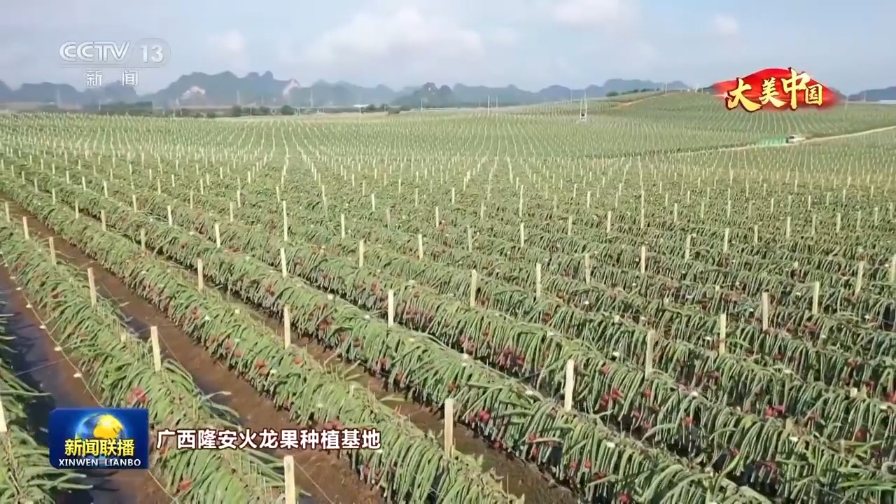 
北京肿瘤医院黄牛代挂号电话票贩子号贩子网上预约挂号,住院检查加快,文化中国行丨岁物丰成 一览神州大地的丰收好图景